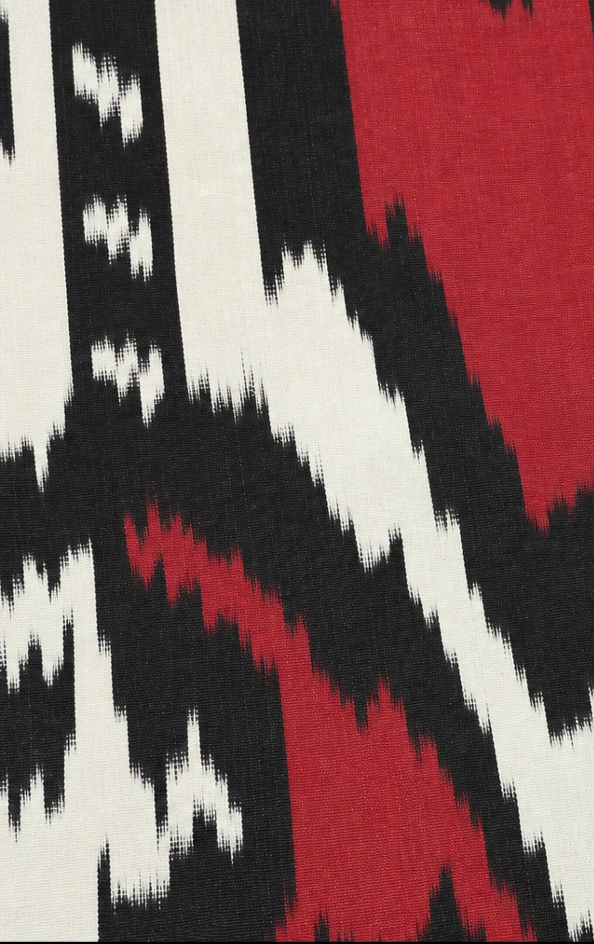 Aleksandra Ikat Silk Cotton Jacket