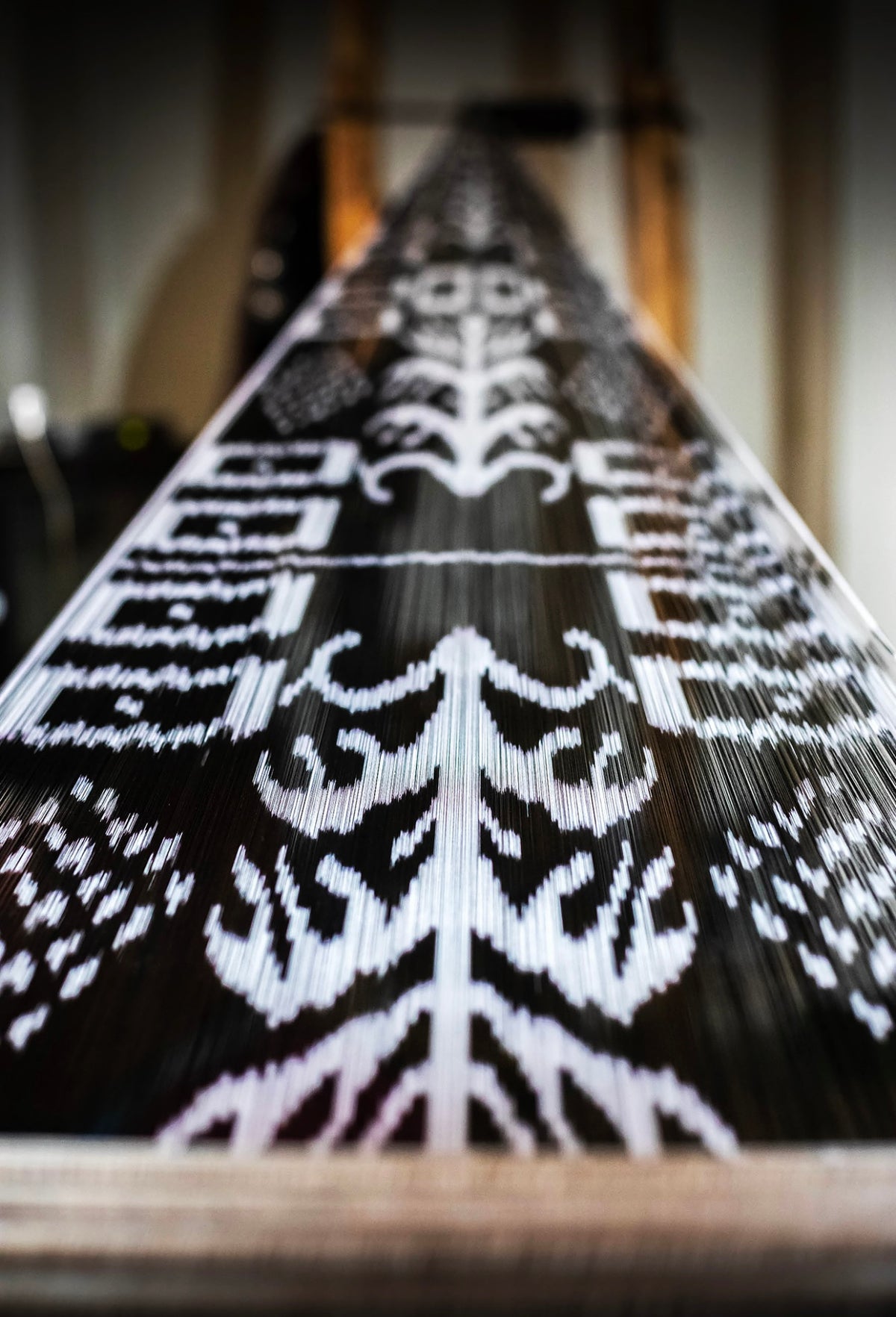 Vida Ikat Silk Coat